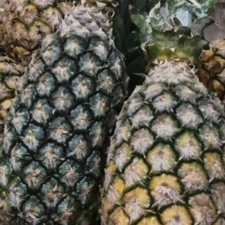 Ananas