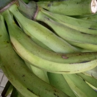 Plantain
